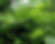 Warborn's Avatar