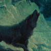 Ravenwolf's Avatar