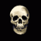 skulldudes's Avatar