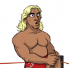 R Flair's Avatar