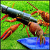 Crawdad's Avatar